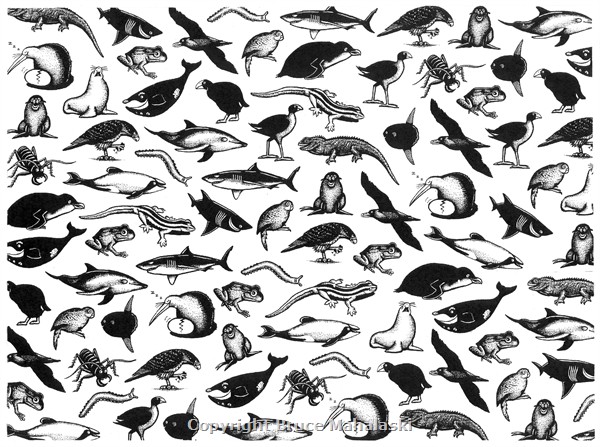 35 -NZ animals design for wrapping paper